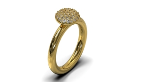 Gouden ring model Brechtje, Fr32 gezet met diamant.